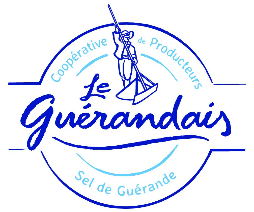 Logo Le Gue╠urandais Vers.Instit Quadri Rogne 1007x839 1 - Bell Vision Logo-Le-Gue╠ürandais-Vers.Instit-Quadri-Rogne-1007x839